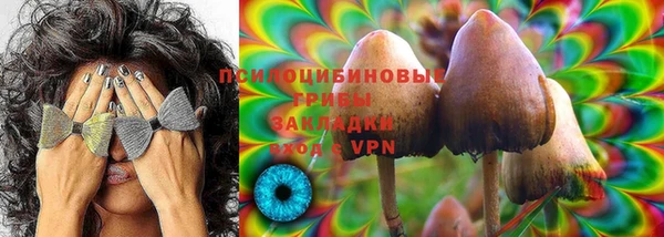 ГАЛЛЮЦИНОГЕННЫЕ ГРИБЫ Абаза
