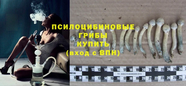 стафф Алзамай