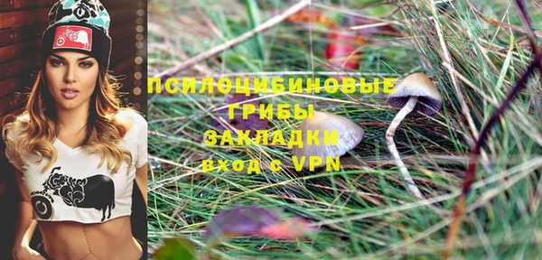 стафф Алзамай