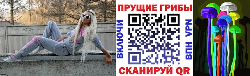 Галлюциногенные грибы GOLDEN TEACHER  Хасавюрт 