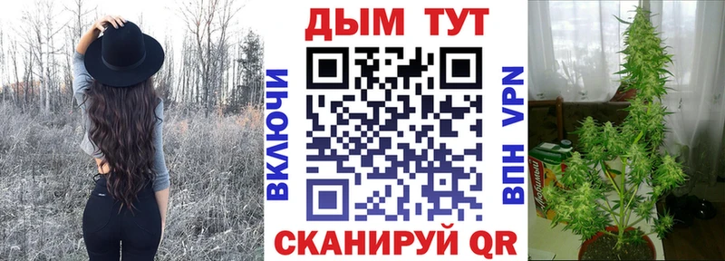 Марихуана MAZAR где найти наркотики Хасавюрт